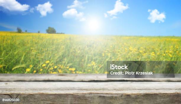 Empty Table Stock Photo - Download Image Now - Advertisement, Agricultural Field, Autumn