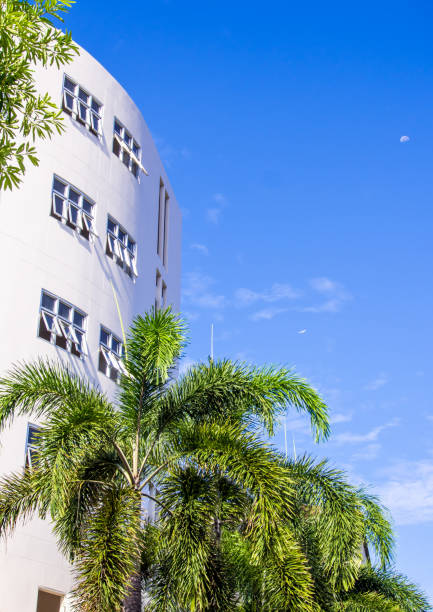 istock blue sky with white building and the palm tree 846826326