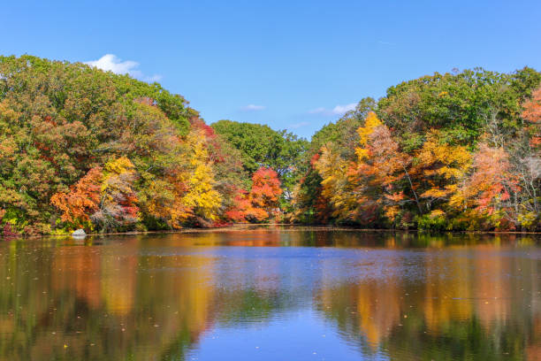 istock Fall foliage by a lake in Seekonk Massachusetts 846826844