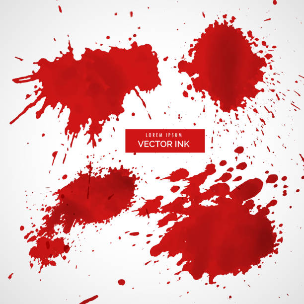 ilustrações de stock, clip art, desenhos animados e ícones de collection of red ink splatter vector - blood