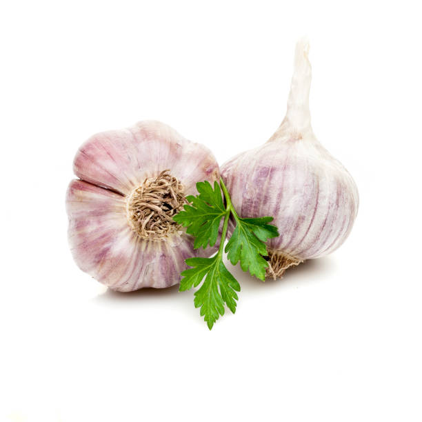 istock garlic  with parsley greenery isolated on white background 846828044