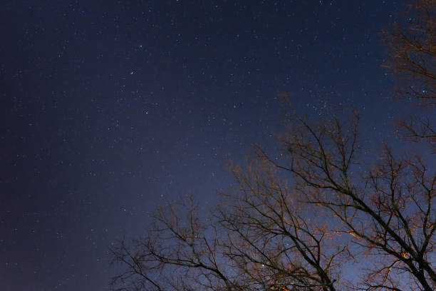 istock beautiful night sky, the Milky Way and the trees 846832472