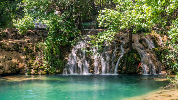 istock Scenic waterfall in the beautiful green forest. 846836896