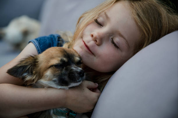 istock Little Girl Living with Pets 846837584