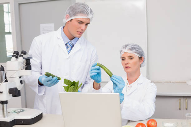 científicos examinan pimiento verde - tomato genetic modification biotechnology green fotografías e imágenes de stock