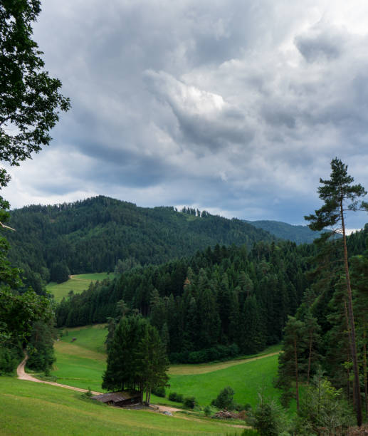 Black Forest - Scenic view over hilly landscape with path and cloudy sky