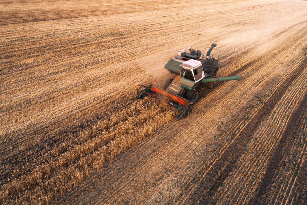 istock Harvester working in field and mows wheat. Ukraine. Aerial view. 846851800