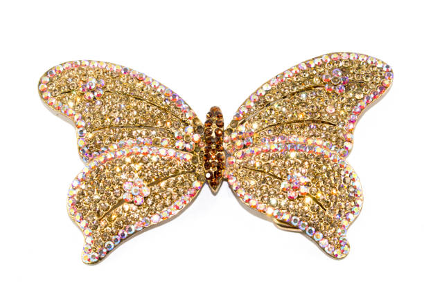istock Vintage Antique Butterfly Brooch on White Background 846852964