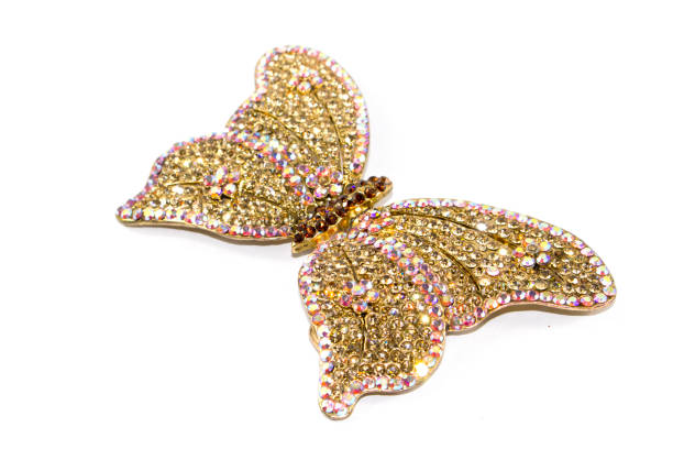 istock Vintage Antique Butterfly Brooch on White Background 846853012