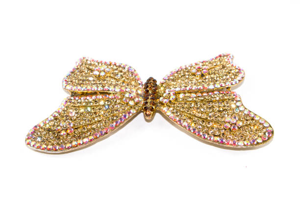 istock Vintage Antique Butterfly Brooch on White Background 846855884