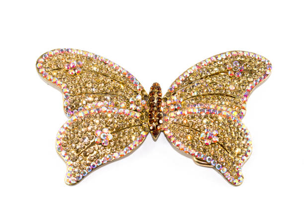 istock Vintage Antique Butterfly Brooch on White Background 846856336