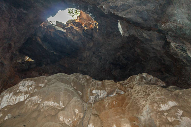 Inside view of borra cave with colorful lights, Araku Valley, Visakhapatnam Andhra Pradesh, India, March 04 2017