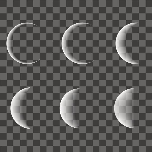 Different phases of moon on transparent background. Vector. Different phases of moon on transparent background. Vector. crescent moon stock illustrations