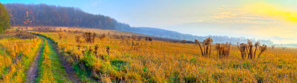 istock Autumn landscape with rural road, grassy meadows and forest on hill 846893464