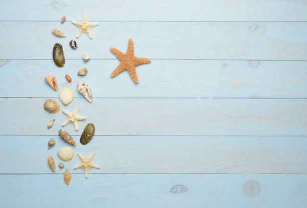 istock Seashells, starfish and sea shells on blue wooden background 846893584