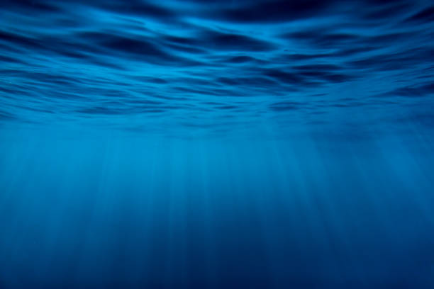 istock Water underwater and sun rays. Blue ocean in underwater 846893686