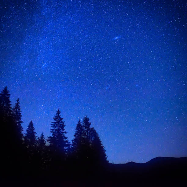 istock Dark blue night sky above the mystery forest 846897596