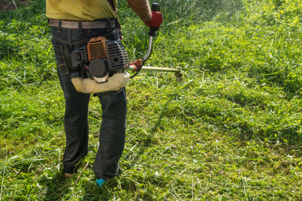istock The gardener cutting grass by lawn mower 846906270