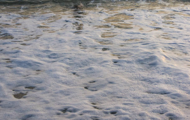 istock rocky sea shore with pebble beach, waves with foam 846906888