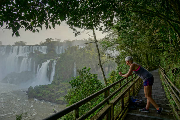 Young Adult Taking in the Beautiful Iguazu Falls in Iguazu National Park, South America The beautiful and often breathtaking, Iguazu Falls in Iguazu National Park in South America. misiones province stock pictures, royalty-free photos & images