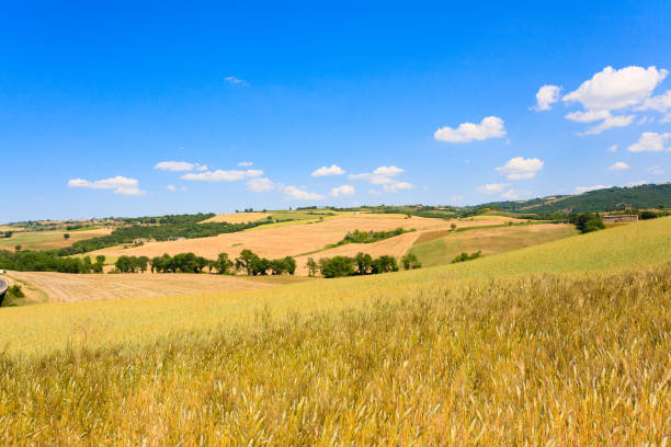 istock Tuscany hills landscape, Italy 846910554