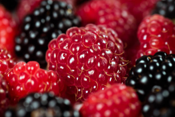 istock Blackberries and raspberries close up 846922254