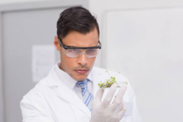 istock Scientist holding a petri dish with tests of plants 846927622