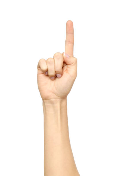 istock Caucasian woman's hand pointing, touching, pressing or counting isolated on white 846928876