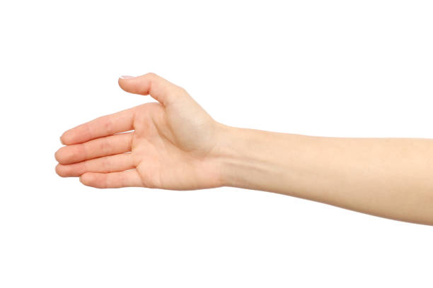 istock Woman's hand who is willing to make a deal isolated on white 846928896