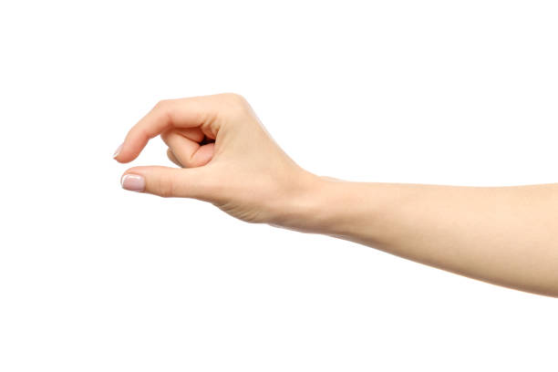 istock Hand showing size gesture isolated on white 846928916