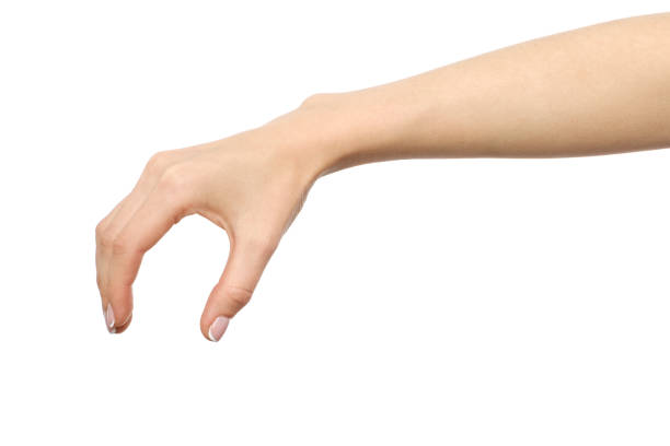 istock Woman's hand grabbing or measuring something isolated on white 846928974