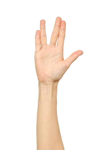 Female hand showing Vulcan Salute isolated on white Female hand showing Vulcan Salute isolated on white vulcan salute stock pictures, royalty-free photos & images