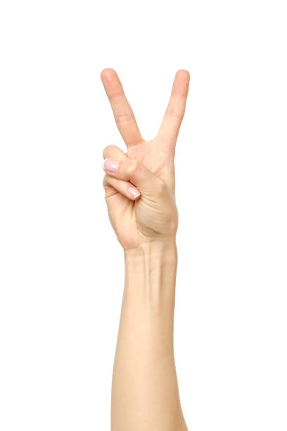 istock Hand counting. Two fingers. Isolated on white 846929050