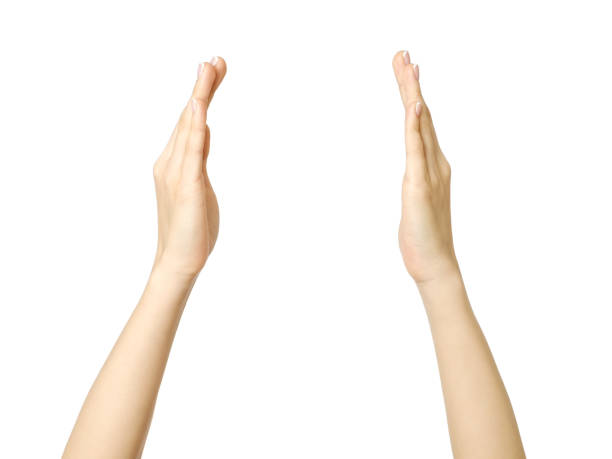 istock Female hands measuring something isolated on white 846929070