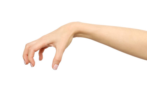 istock Female hand reaching for something isolated on white 846929092