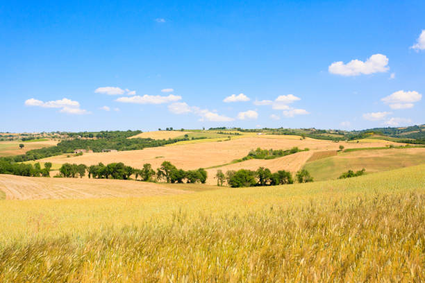 istock Tuscany hills landscape, Italy 846932690