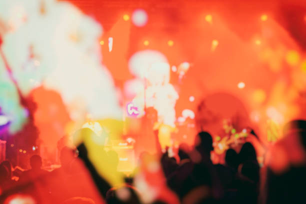 audience at the concert