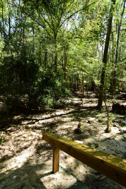 istock Trail erased from original location after flood 846959870