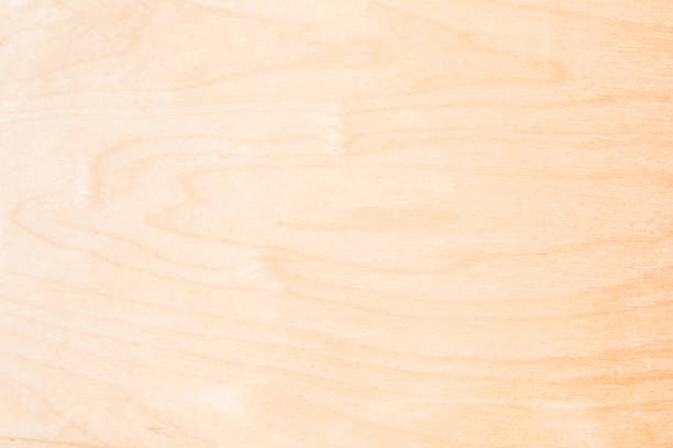 textura natural de madeira de bétula, a superfície da madeira é tratada, muita fibra e pequenas lascas - wood birch wood grain textured - fotografias e filmes do acervo