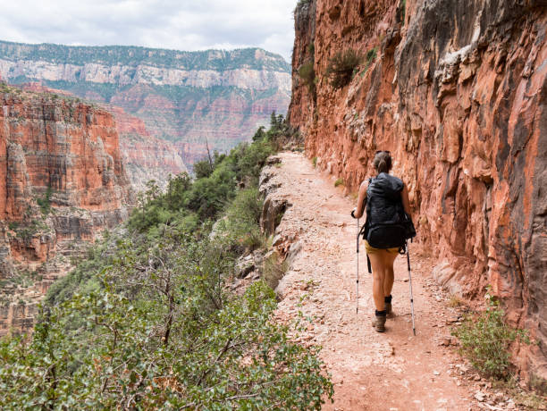 istock Hiker with backpack in Grand Canyon 846979674