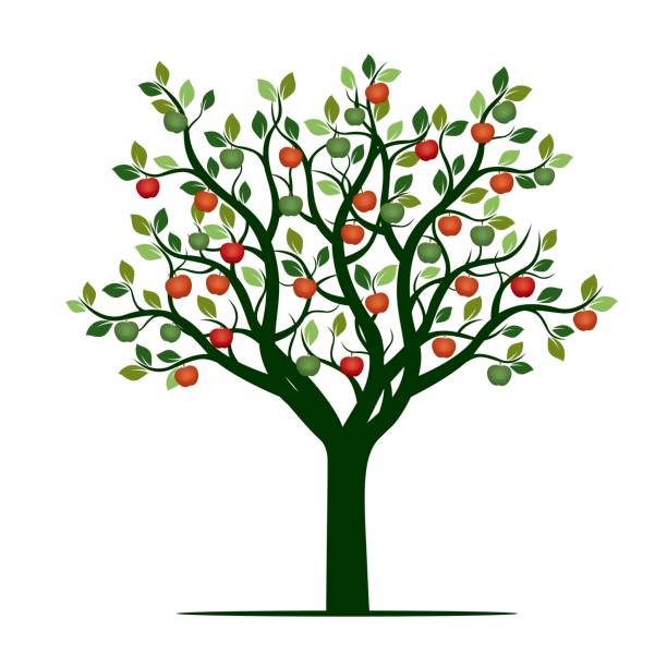Green Tree with red Apples. Vector Illustration. Green Tree with red Apples. Vector Illustration. apple tree stock illustrations