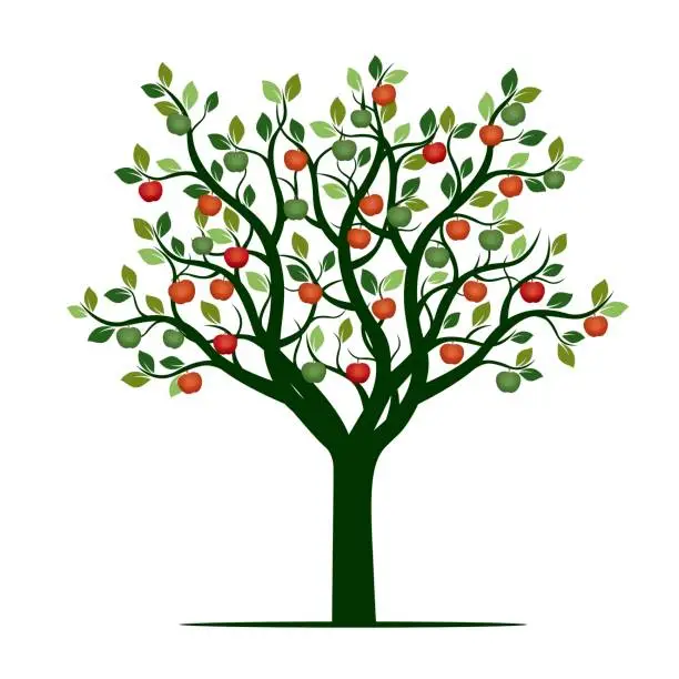 Vector illustration of Green Tree with red Apples. Vector Illustration.