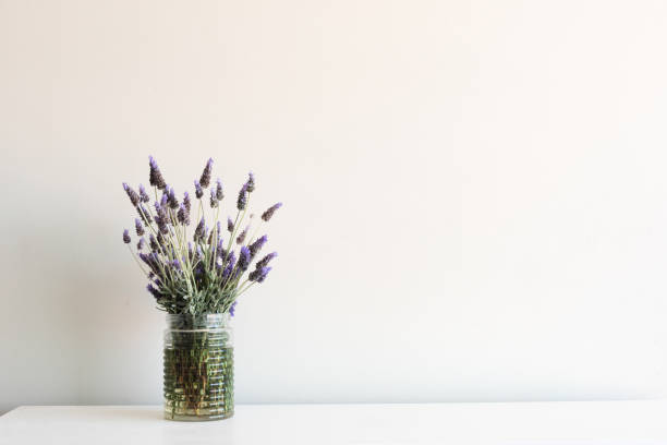 lavande en pot de verre - flower pot vase purple decor photos et images de collection