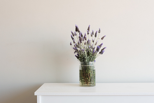 Lavender in glass jar on white cabinet against neutral wall background