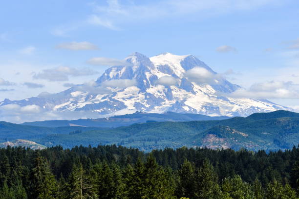 istock Mt. Rainier, Washington-USA 846997448