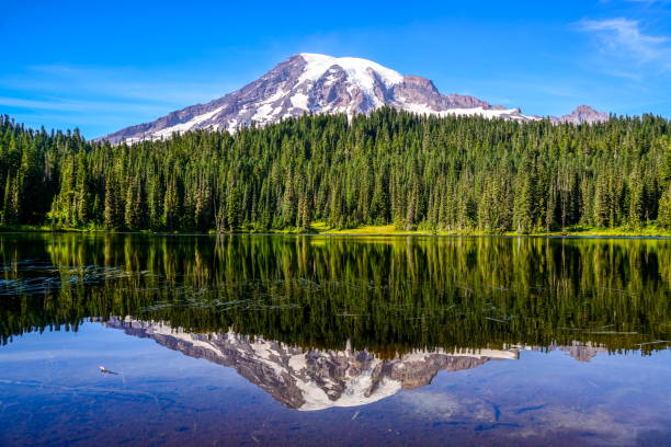 istock Mount Rainier and Reflection Lake, Washington-USA 846997716