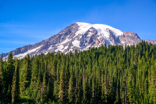 istock Mt. Rainier, Washington-USA 846999946