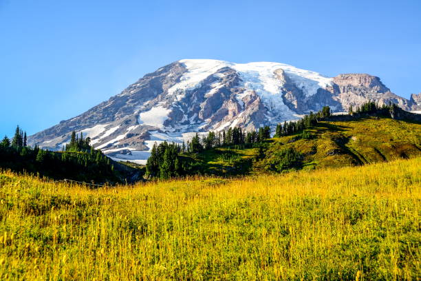 istock Mt. Rainier, Washington-USA 846999964
