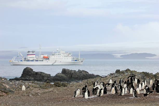 istock Wild chinstrap penguins and cruise ship in the background, Antarctica 847005888