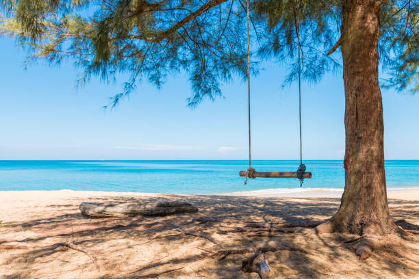 istock Swing at tree on the sand tropical beach 847012340